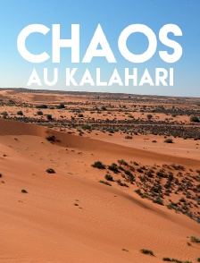 Chaos au Kalahari