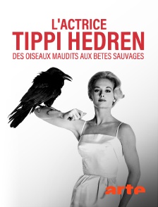 Arte - L'actrice Tippi Hedren : des oiseaux maudits aux bêtes sauvages