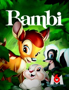 M6 - Bambi