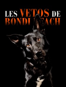Les vétos de Bondi Beach