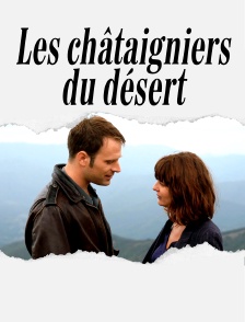Les châtaigniers du désert