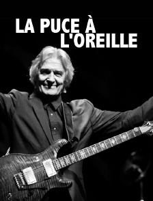 La puce à l'oreille