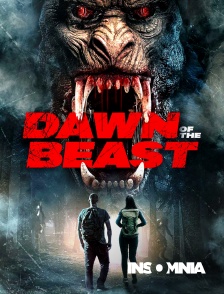 INSOMNIA - Dawn of the beast en replay