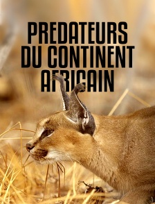 Prédateurs du continent africain