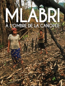 Mlabri, à l'ombre de la canopée