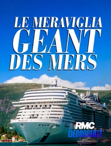 RMC Découverte - Le Meraviglia : géant des mers
