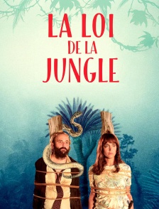 La loi de la jungle
