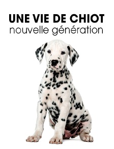 Une vie de chiot