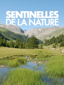 Sentinelles de la nature