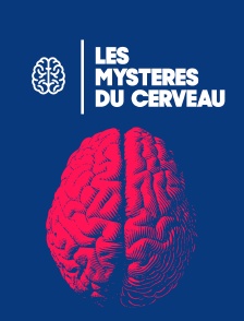 Les mystères du cerveau