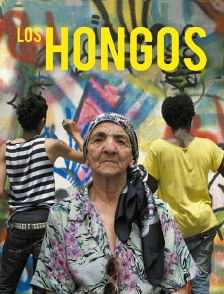 Los Hongos