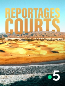France 5 - Reportages courts