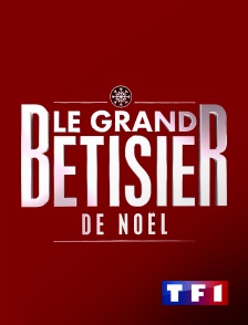 TF1 - Le grand bêtisier de Noël