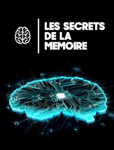 Les secrets de la mémoire