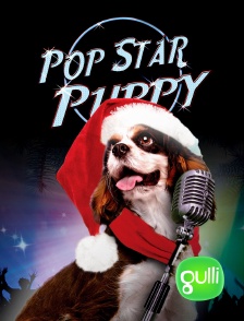 Gulli - Pop Star Puppy