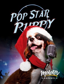 Molotov channels - Pop Star Puppy, toutou pour la musique