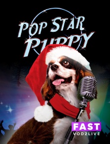 Molotov Channels TEST FAST - Pop Star Puppy, toutou pour la musique