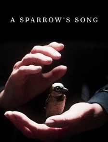 A Sparrow's Song