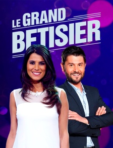 Le grand bêtisier