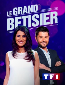TF1 - Le grand bêtisier
