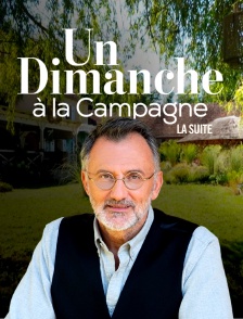 Un dimanche à la campagne, la suite
