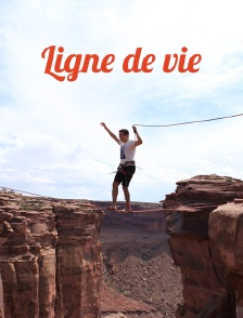 Ligne de vie