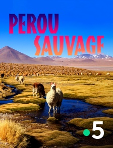 Destination Wild : Pérou sauvage