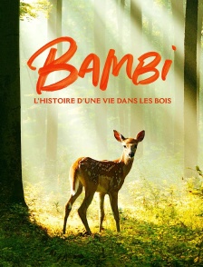 Bambi, l'histoire d'une vie dans les bois