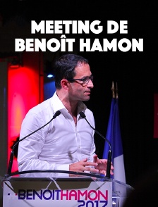Meeting de Benoît Hamon