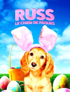 Russ, le chien de Pâques