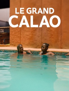 Le grand calao