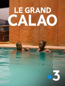 France 3 - Le grand calao