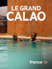 france.tv - Le grand calao