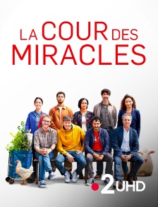 France 2 UHD - La Cour des miracles