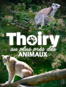 Thoiry : au plus près des animaux