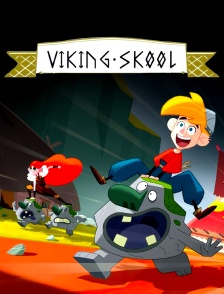 Viking Skool