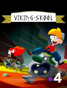 France 4 - Viking Skool