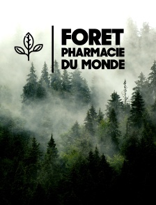 Forêt, pharmacie du monde