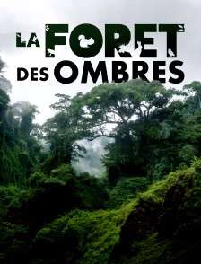 La forêt des ombres