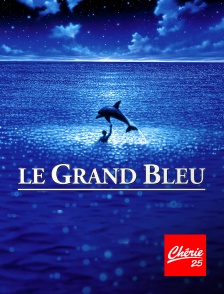 Le grand bleu