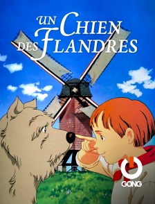 Le Chien Des Flandres