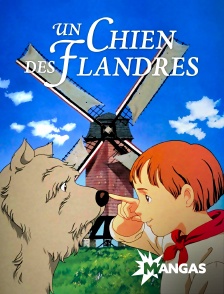 MANGAS - Un chien des Flandres