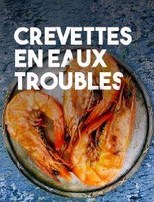 Crevettes en eaux troubles