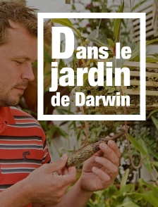 Dans le jardin de Darwin