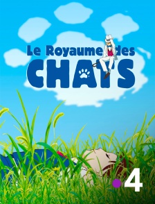 France 4 - Le royaume des chats