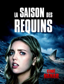 La saison des Requins