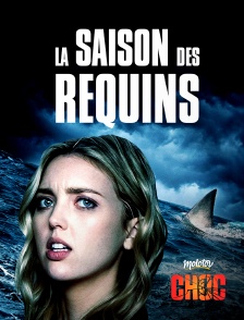 La saison des Requins