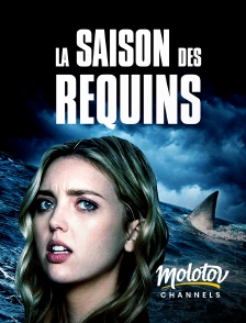 Molotov channels - La saison des Requins