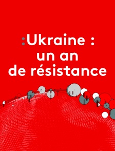 Ukraine : un an de résistance