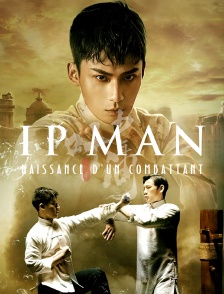 Ip Man : Naissance d'un combattant